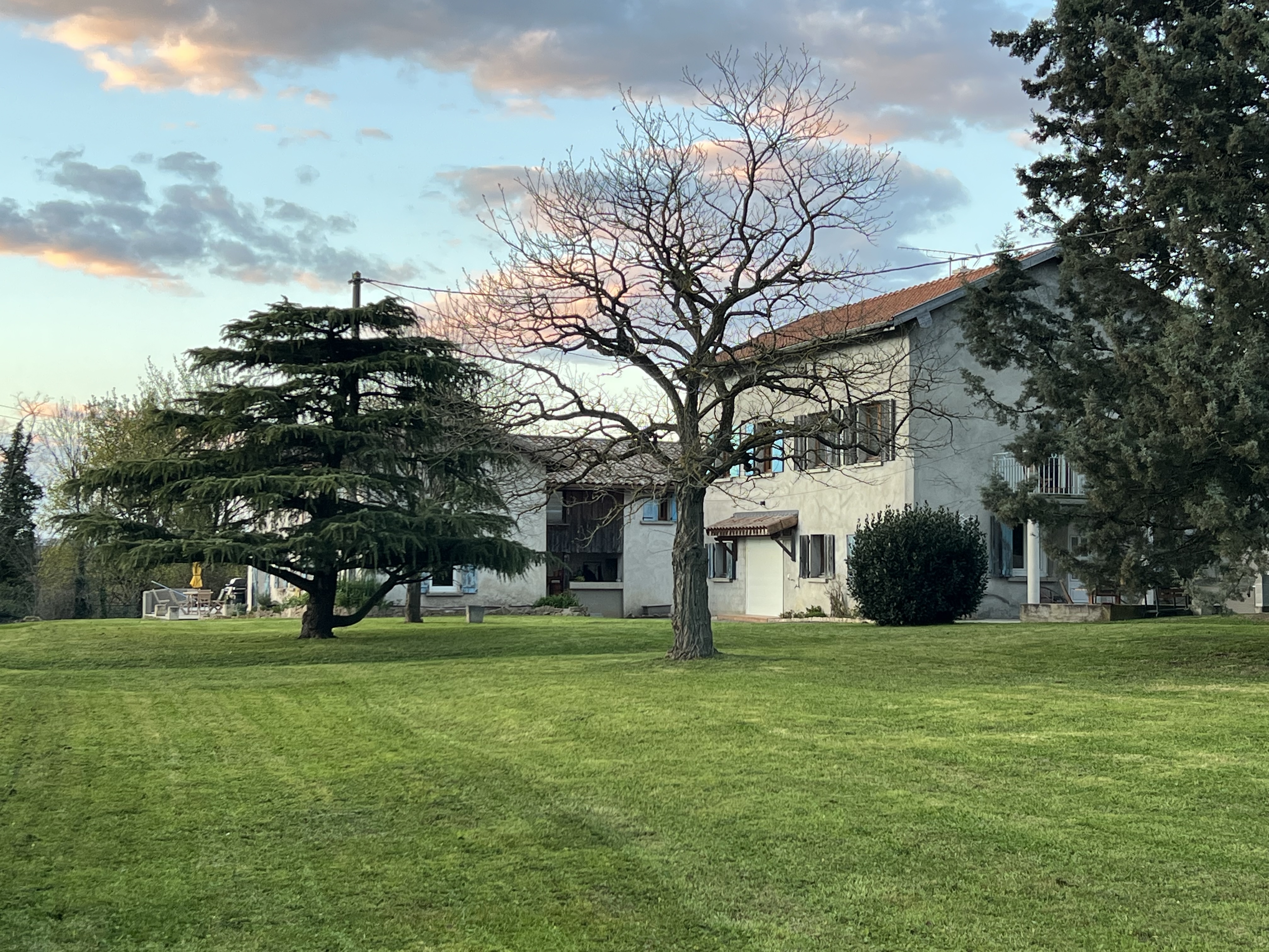 Bee on the Tree - Discover our cottage