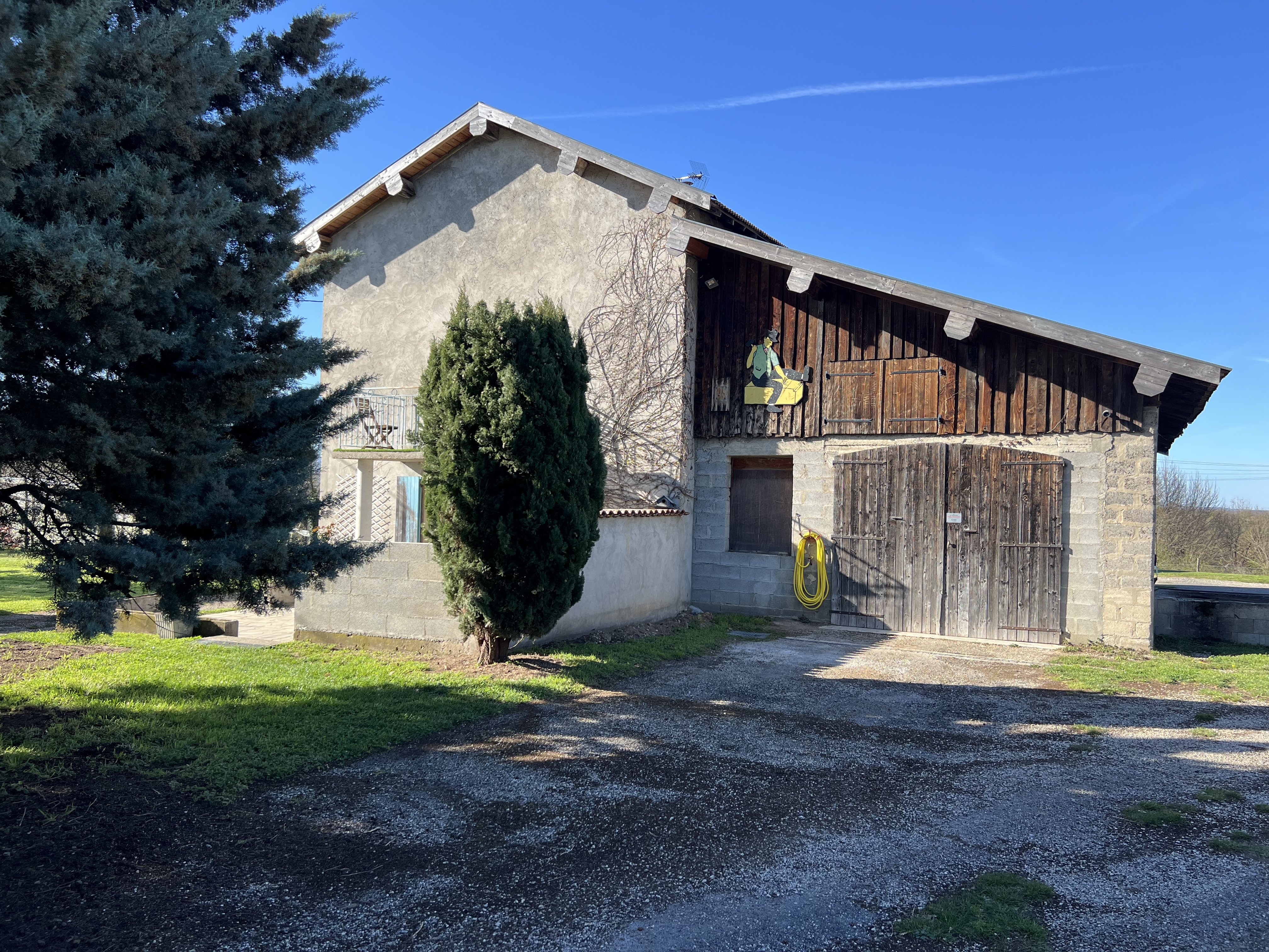 Bee on the Tree - Discover our cottage